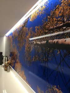 Wall Mural Completed Install